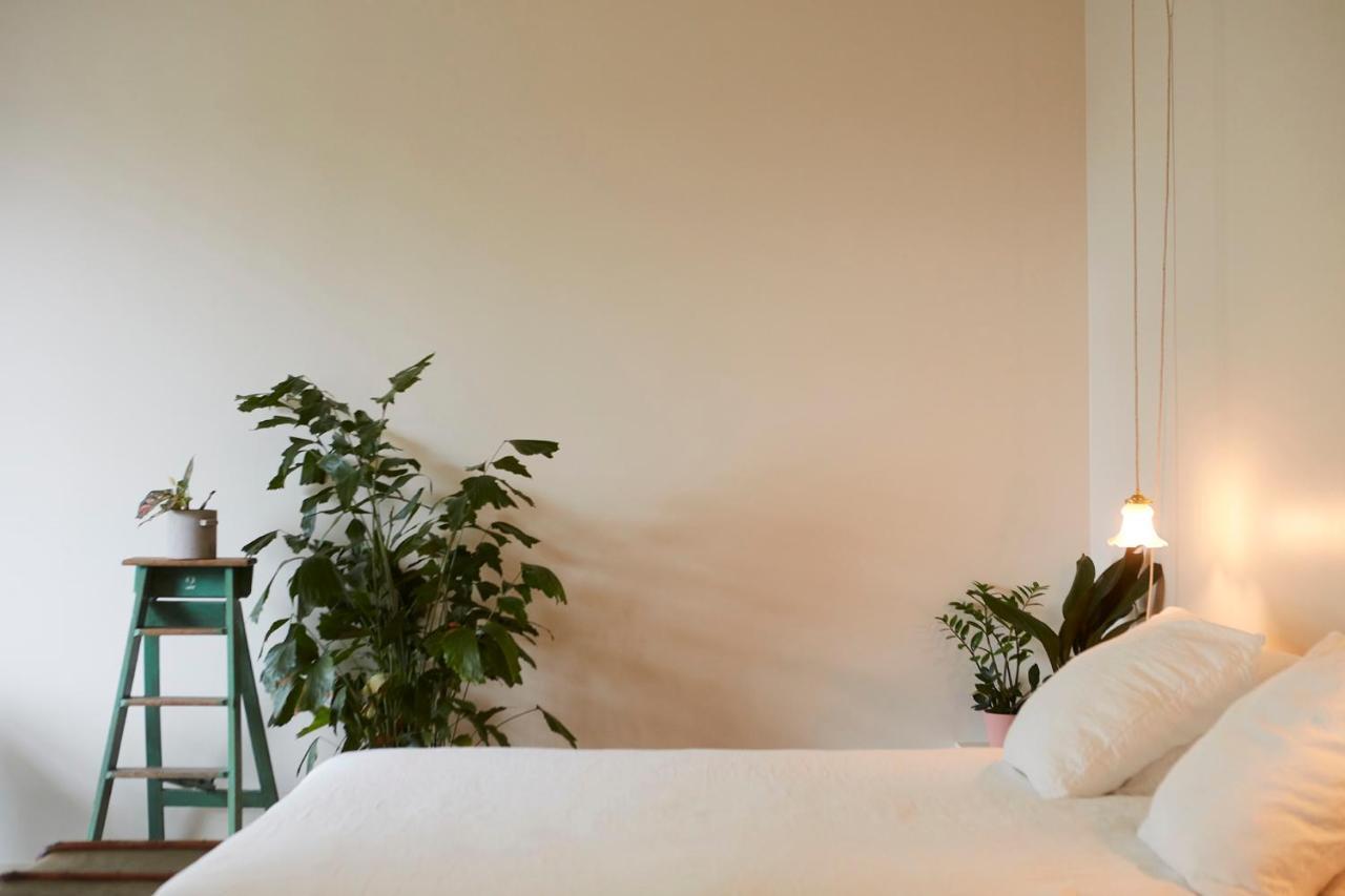 Chambre D'Amis By Alix Gante Exterior foto